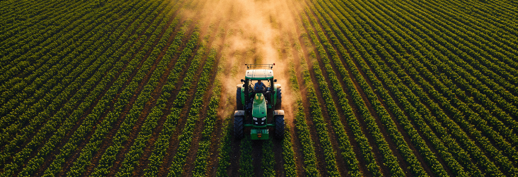 Oportunidades ocultas na agroindústria: aumente seu fluxo de caixa sem elevar a produção